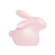 Swish Makeup Revolution Pet Shop Bunny - Liquorice