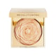 Swish Makeup Revolution PRO Lustre Highlighter - Golden Rose