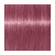 Swish Schwarzkopf Professional Igora Vibrance Kit 9.5-98 Violet Red Toner