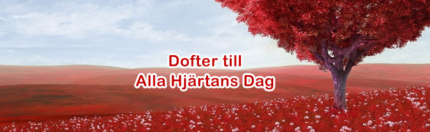 Alla Hjärtans Dag - Fina dofter till kampanjpris